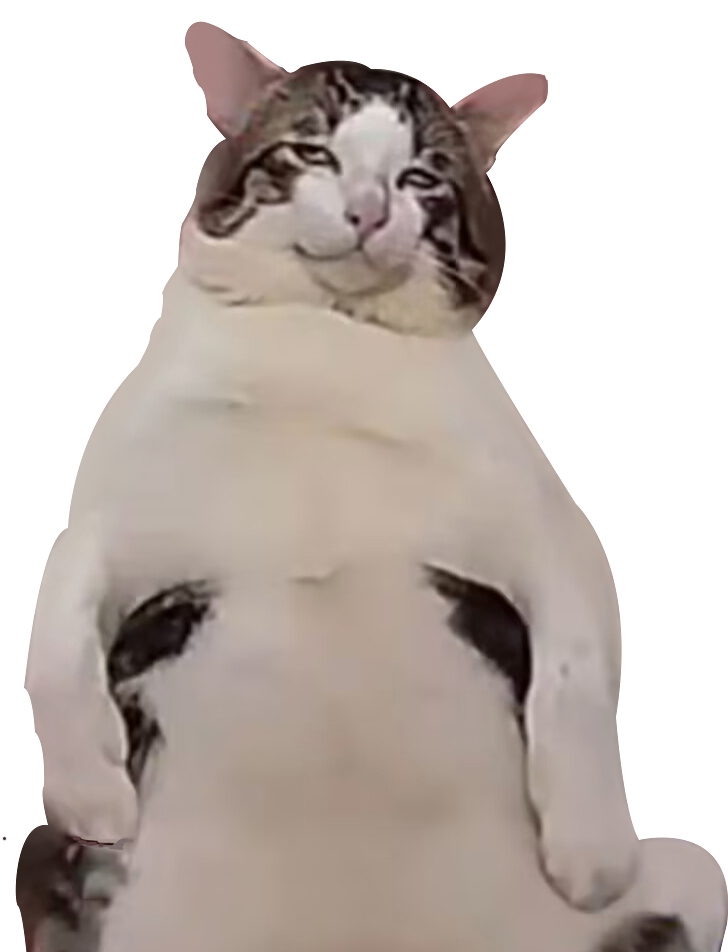 有没有像魔法少女苍蓝星那种换装多又比较自由的rpg-老王资源部落